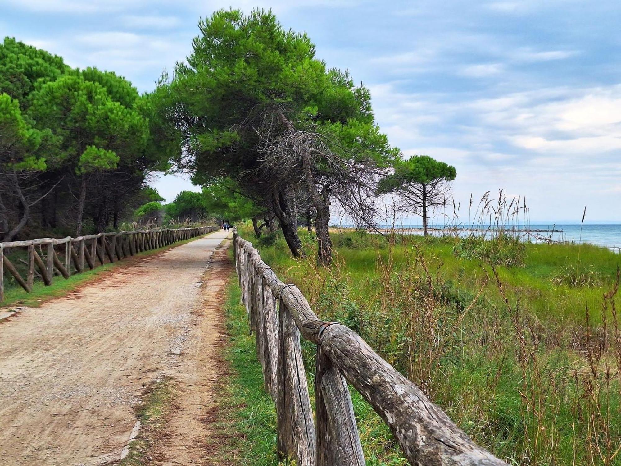Adorable Flat For 6 Guests Next To Pineda Apartamento Bibione